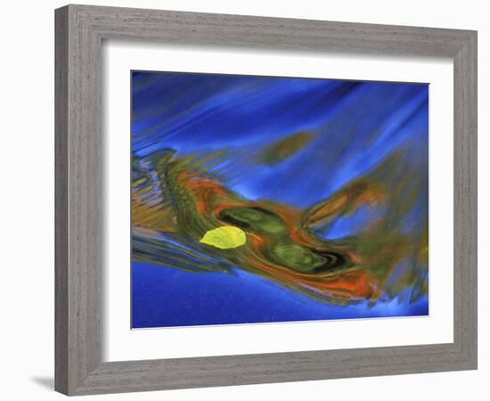 Birch Leaf in River Current with Autumn and Sky Reflections, Upper Peninsula, Michigan, USA-Mark Carlson-Framed Photographic Print