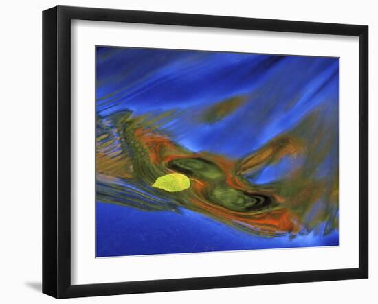 Birch Leaf in River Current with Autumn and Sky Reflections, Upper Peninsula, Michigan, USA-Mark Carlson-Framed Photographic Print