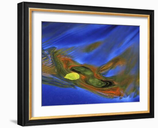 Birch Leaf in River Current with Autumn and Sky Reflections, Upper Peninsula, Michigan, USA-Mark Carlson-Framed Photographic Print