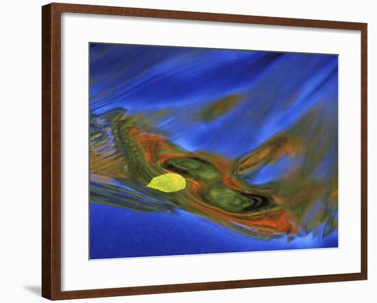 Birch Leaf in River Current with Autumn and Sky Reflections, Upper Peninsula, Michigan, USA-Mark Carlson-Framed Photographic Print