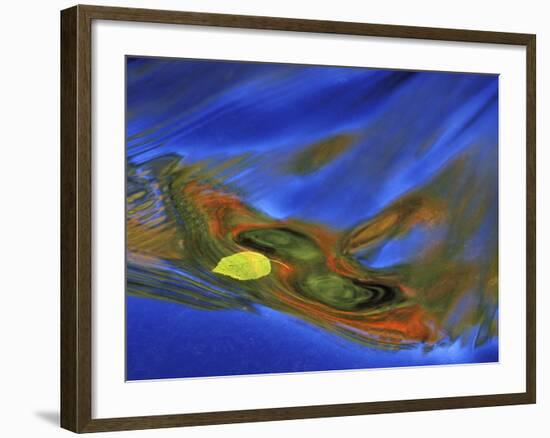 Birch Leaf in River Current with Autumn and Sky Reflections, Upper Peninsula, Michigan, USA-Mark Carlson-Framed Photographic Print