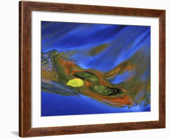 Birch Leaf in River Current with Autumn and Sky Reflections, Upper Peninsula, Michigan, USA-Mark Carlson-Framed Photographic Print