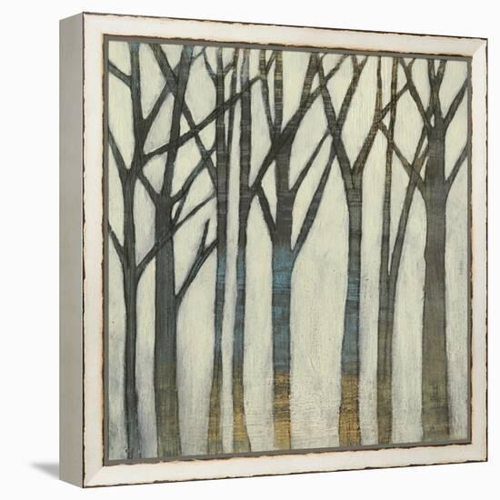 Birch Line I-Jennifer Goldberger-Framed Stretched Canvas