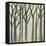 Birch Line I-Jennifer Goldberger-Framed Stretched Canvas