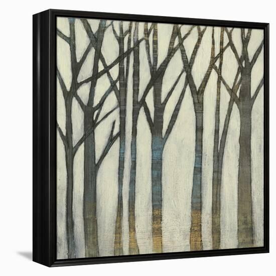 Birch Line I-Jennifer Goldberger-Framed Stretched Canvas