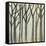 Birch Line I-Jennifer Goldberger-Framed Stretched Canvas