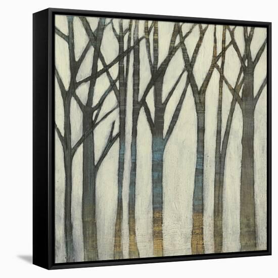 Birch Line I-Jennifer Goldberger-Framed Stretched Canvas