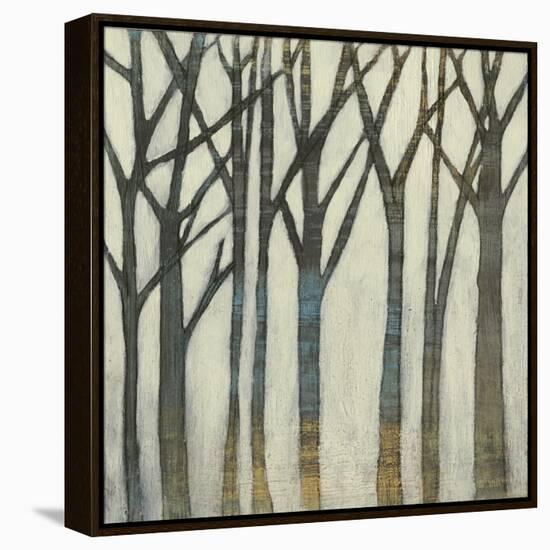 Birch Line I-Jennifer Goldberger-Framed Stretched Canvas