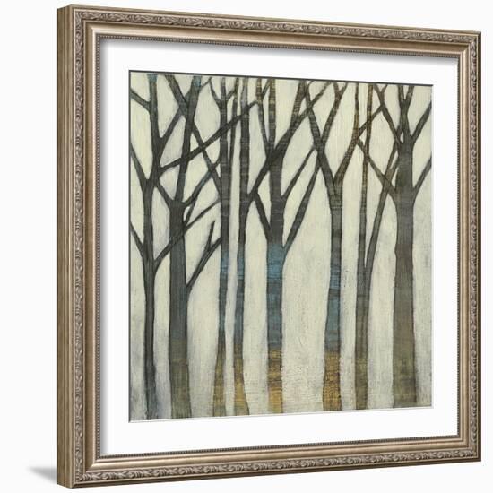 Birch Line I-Jennifer Goldberger-Framed Art Print