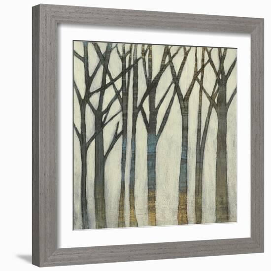 Birch Line I-Jennifer Goldberger-Framed Art Print