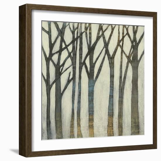 Birch Line I-Jennifer Goldberger-Framed Art Print