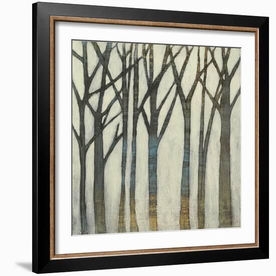 Birch Line I-Jennifer Goldberger-Framed Art Print