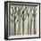 Birch Line I-Jennifer Goldberger-Framed Art Print