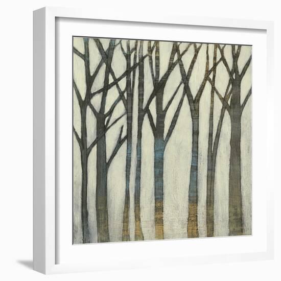 Birch Line I-Jennifer Goldberger-Framed Art Print