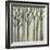 Birch Line I-Jennifer Goldberger-Framed Art Print