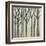 Birch Line I-Jennifer Goldberger-Framed Art Print