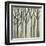 Birch Line I-Jennifer Goldberger-Framed Art Print