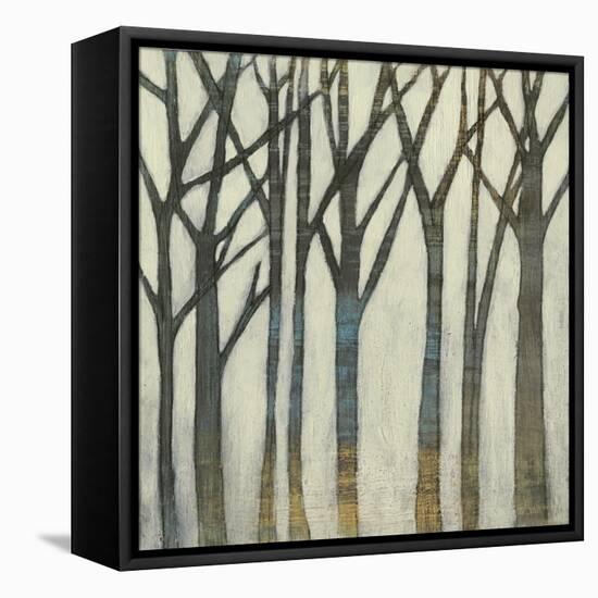 Birch Line I-Jennifer Goldberger-Framed Stretched Canvas