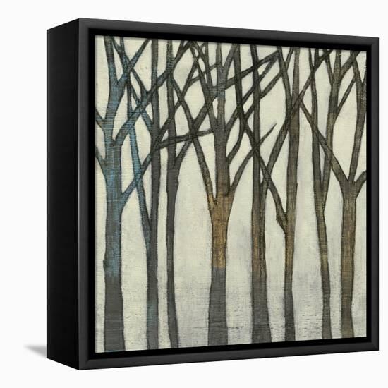 Birch Line II-Jennifer Goldberger-Framed Stretched Canvas