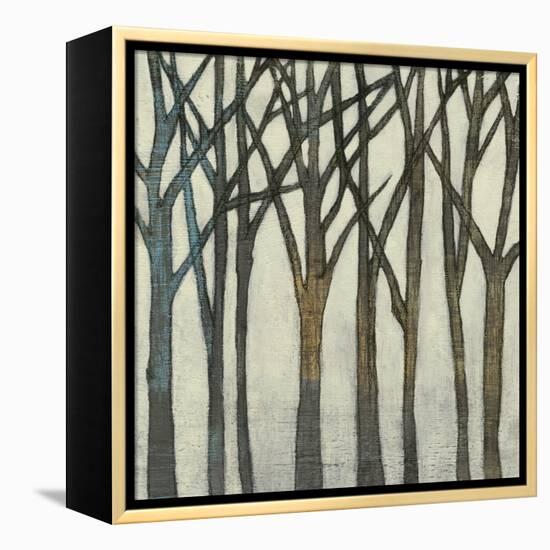 Birch Line II-Jennifer Goldberger-Framed Stretched Canvas