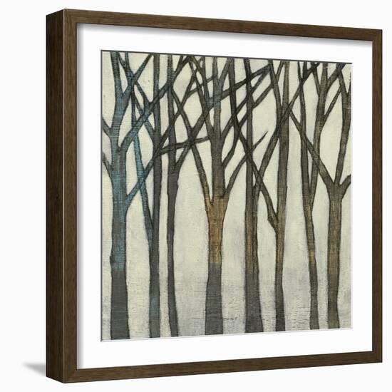 Birch Line II-Jennifer Goldberger-Framed Art Print
