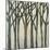 Birch Line II-Jennifer Goldberger-Mounted Art Print