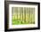 birch mire forest on the Müritz National Park, autumn, double exposure with picturesque effect, Mec-Andreas Vitting-Framed Photographic Print