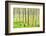 birch mire forest on the Müritz National Park, autumn, double exposure with picturesque effect, Mec-Andreas Vitting-Framed Photographic Print