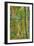 Birch over the Trail-Robert Goldwitz-Framed Photographic Print