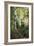 Birch Path III-Danny Head-Framed Art Print