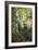 Birch Path III-Danny Head-Framed Art Print