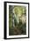 Birch Path III-Danny Head-Framed Art Print