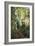 Birch Path III-Danny Head-Framed Premium Giclee Print