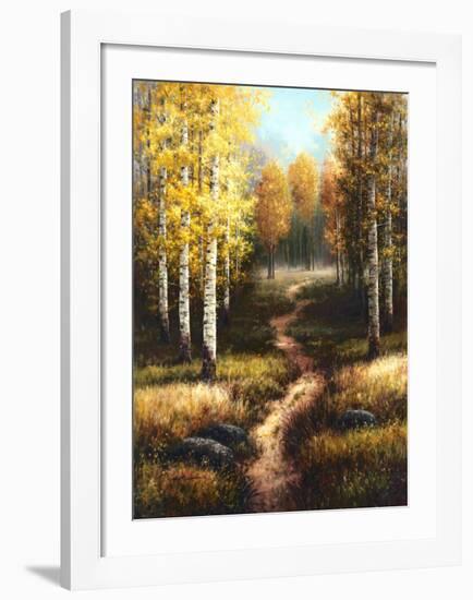 Birch Path-Arcobaleno-Framed Art Print