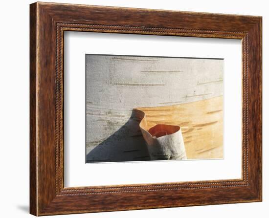 Birch Peel-Stephen Gassman-Framed Art Print