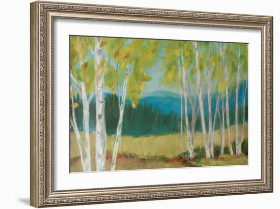 Birch Road Crop-Sue Schlabach-Framed Art Print