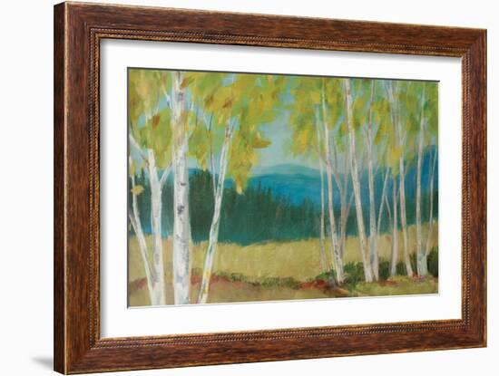 Birch Road Crop-Sue Schlabach-Framed Art Print