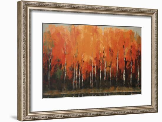 Birch Shoreline-Peter Colbert-Framed Giclee Print