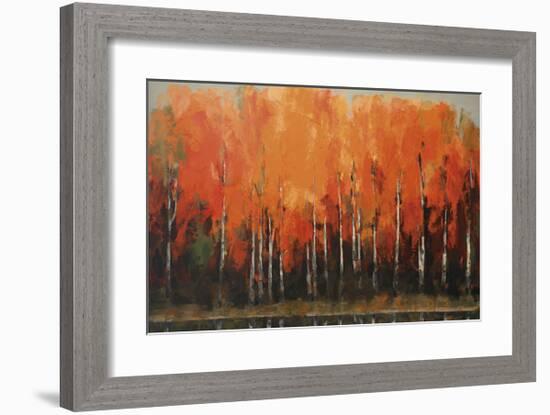 Birch Shoreline-Peter Colbert-Framed Giclee Print