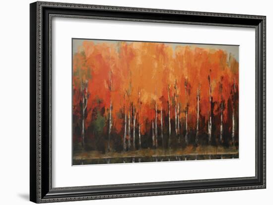 Birch Shoreline-Peter Colbert-Framed Giclee Print