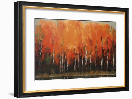 Birch Shoreline-Peter Colbert-Framed Giclee Print