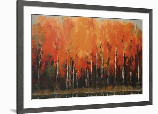 Birch Shoreline-Peter Colbert-Framed Giclee Print