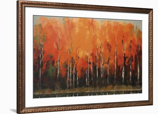 Birch Shoreline-Peter Colbert-Framed Giclee Print