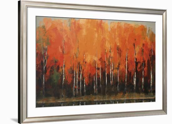 Birch Shoreline-Peter Colbert-Framed Giclee Print