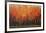 Birch Shoreline-Peter Colbert-Framed Giclee Print