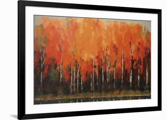 Birch Shoreline-Peter Colbert-Framed Giclee Print