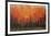 Birch Shoreline-Peter Colbert-Framed Giclee Print