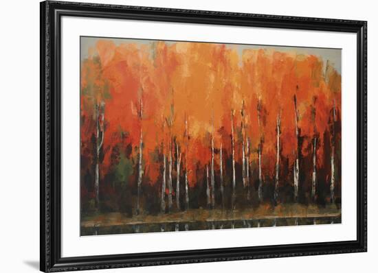 Birch Shoreline-Peter Colbert-Framed Giclee Print