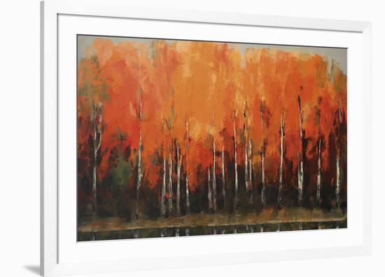 Birch Shoreline-Peter Colbert-Framed Giclee Print