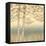 Birch Silhouette 1-James Wiens-Framed Stretched Canvas